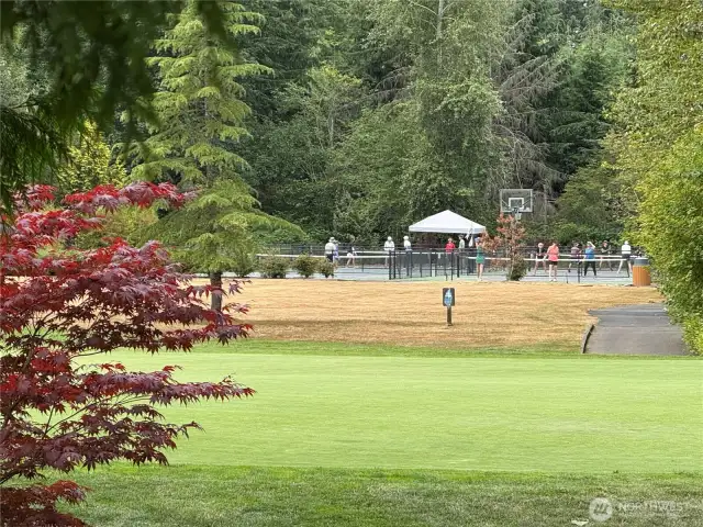 Pickleball Courts!
