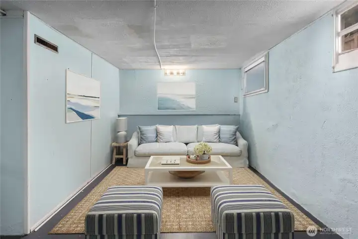 Lower level rec-room family room - or is a flexible space for brewing, art studio or whatever your needs demand.