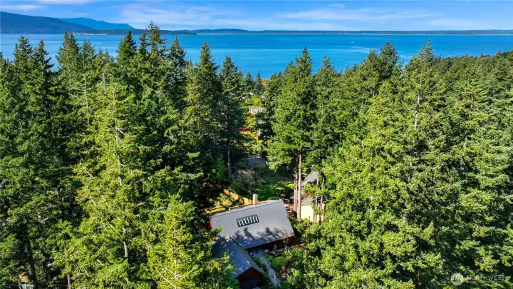 Look at that fabulous Bellingham Bay Water View!   This is the best of both worlds, secluded and private, surrounded by nature with a water view from every upper level bedroom .      Look at that fabulous Bellingham Bay Water View!
