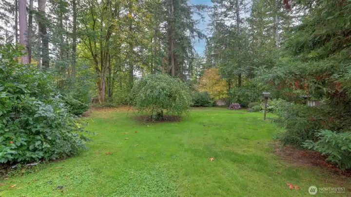 Level yard with fruit trees & garden space.