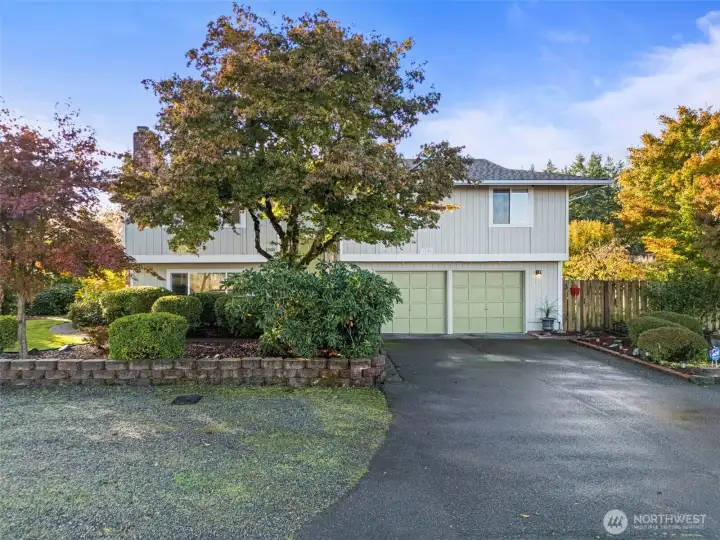 Mature Greenery Adds Plenty of Privacy