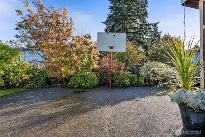 The Perfect Place to Shoot Hoops! Look at that Privacy!!