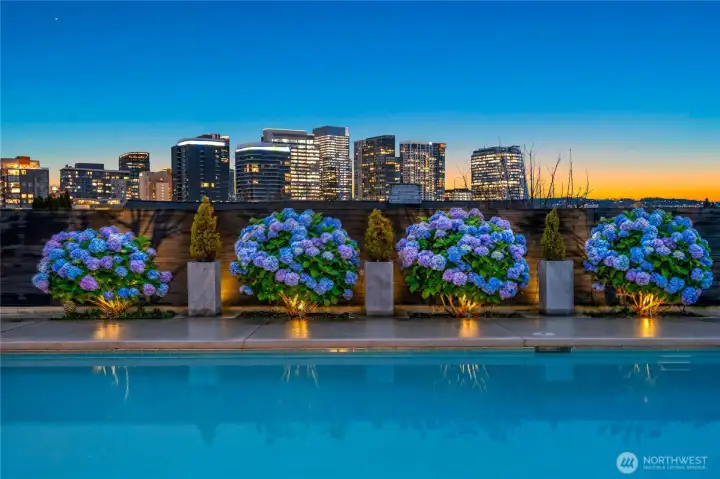 Who needs a vacation home when this is your backyard!