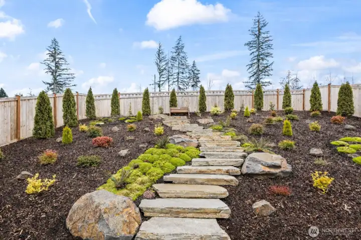 Straight-on view of the south-facing backyard filled with natural sunlight, offering open rear outlooks rather than direct neighboring views — a standout premium lot feature in this McCormick Trails newer construction home.