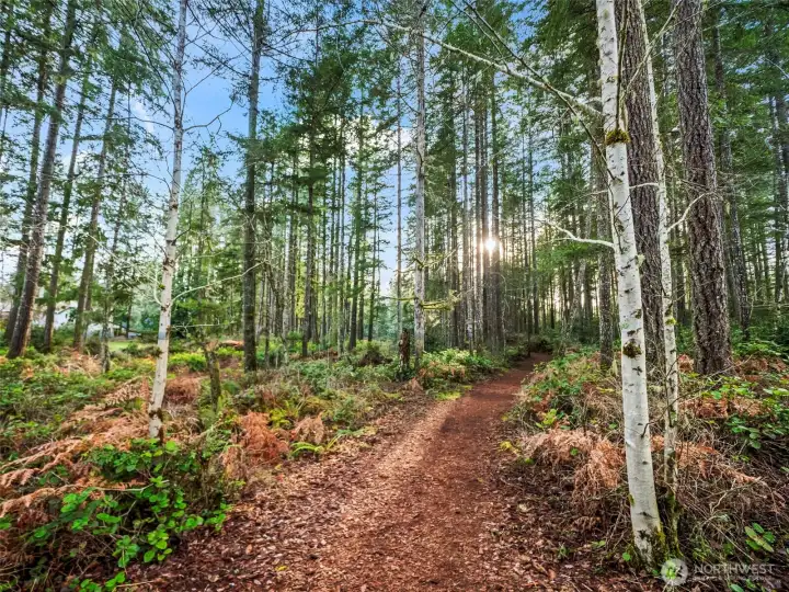 Scenic walking and biking trails within the McCormick Trails community, offering miles of Pacific Northwest pathways that connect outdoor recreation with everyday neighborhood living in Port Orchard.