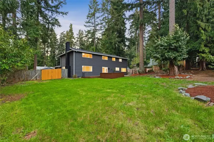 Look at all of this space!