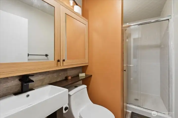 This is the 3/4 bath on the lower level.