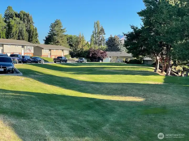Spacious shared green space - great for playing games and exercising pets