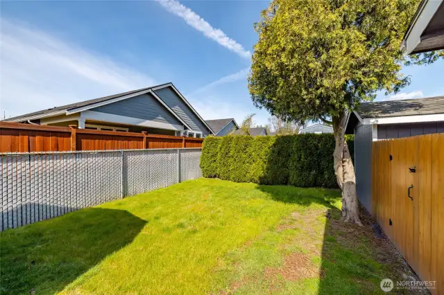 West Side Yard