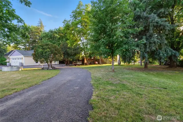 East Side Driveway