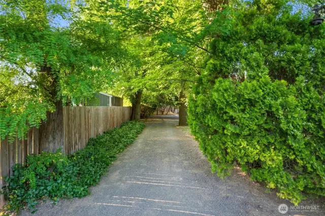 West Side Driveway