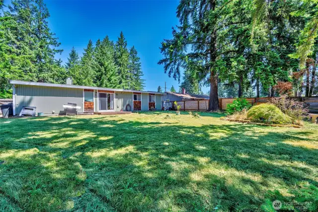 Large, flat, fully fenced, useable back yard.