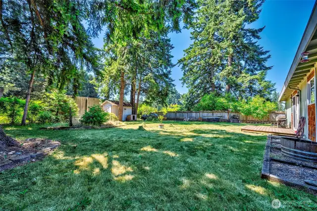 Back yard with storage shed