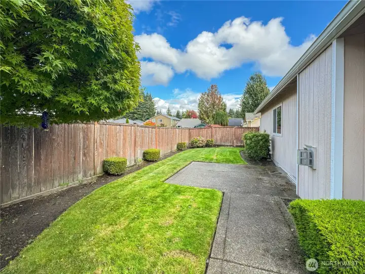 Backyard