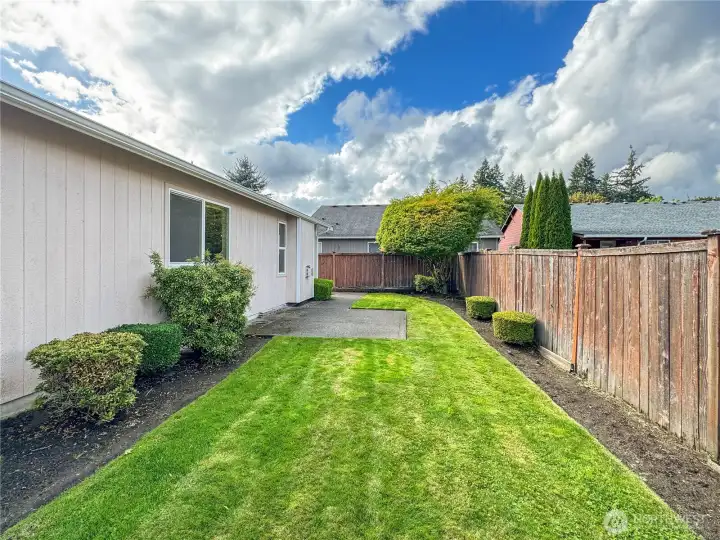 Backyard