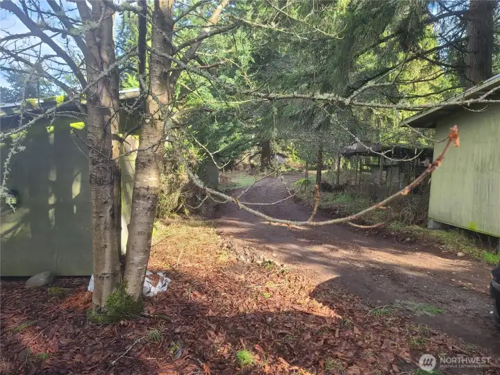 Several outbuildings on the property