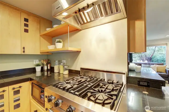 Viking gas range and hood