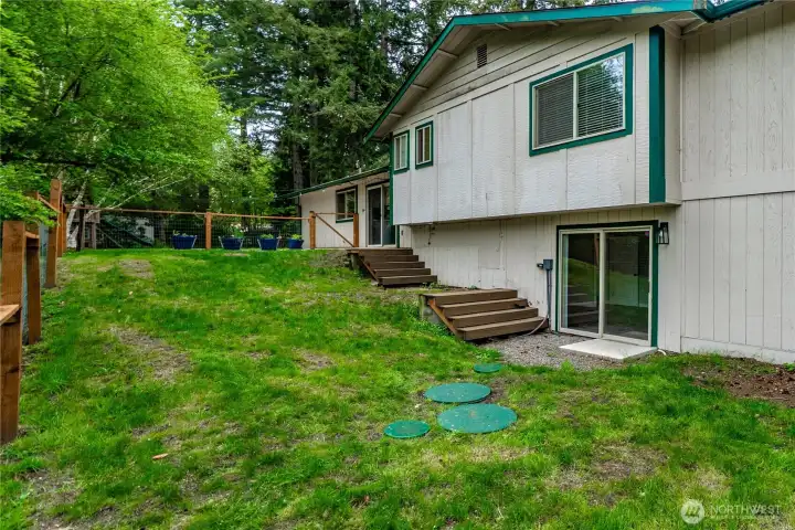 This is the lower back yard