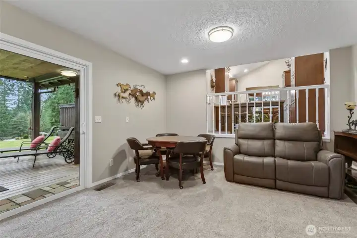 Family Room - Lower