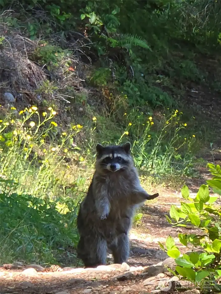 Another visitor Another visitor