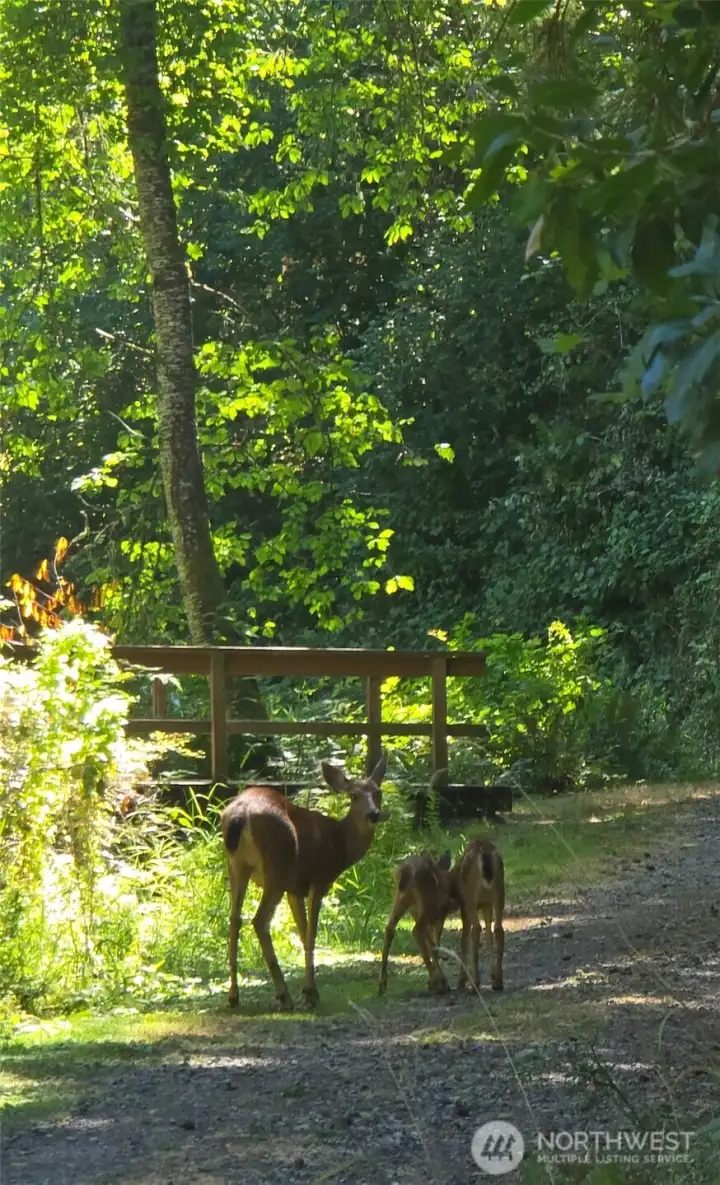 More visitors More visitors