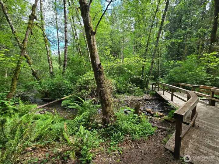 One of the bridges along the lake at Blue Lake trail. It spans a creek One of the bridges along the lake at Blue Lake trail. It spans a creek