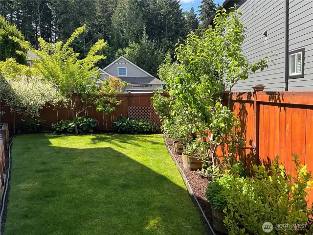 Side Yard with Fruit Trees and Raised Gardens