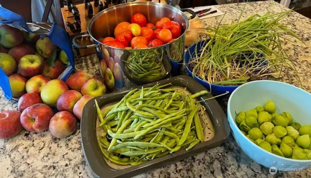 Beautiful Produce from the garden