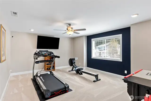 Huge bonus room with ceiling fan