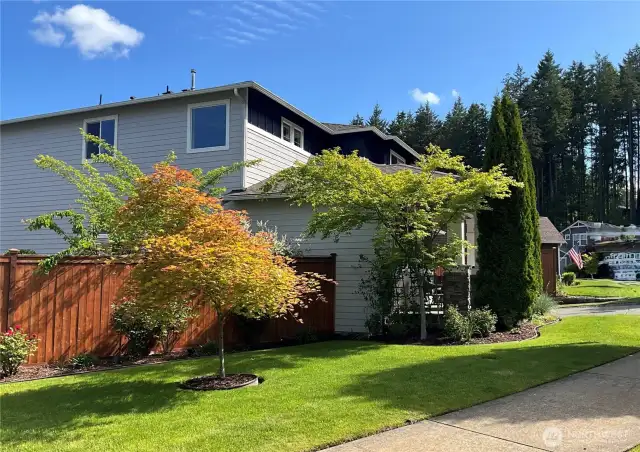 Extrta wide side yard with vegetable garden beds & fruit trees