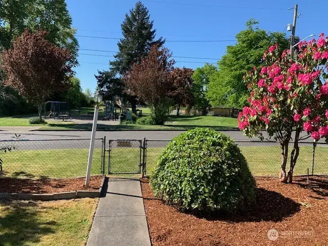 Fern Hill Park across the street from home