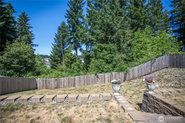 view from the back yard