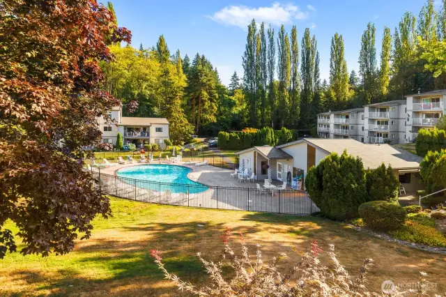 View from your Primary bedroom window - lots of trees, sunshine, community pool and clubhouse