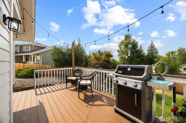 Enjoy evenings on the patio, grilling, chilling, and hosting friends. The back yard is fully fenced in, and backs up to a private greenspace.