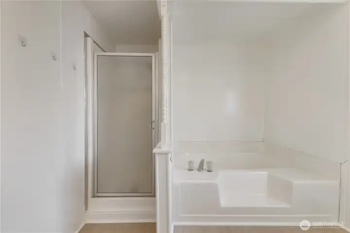 Primary bathroom and soaking tub