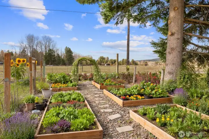 Great garden space for fresh flowers and vegetables