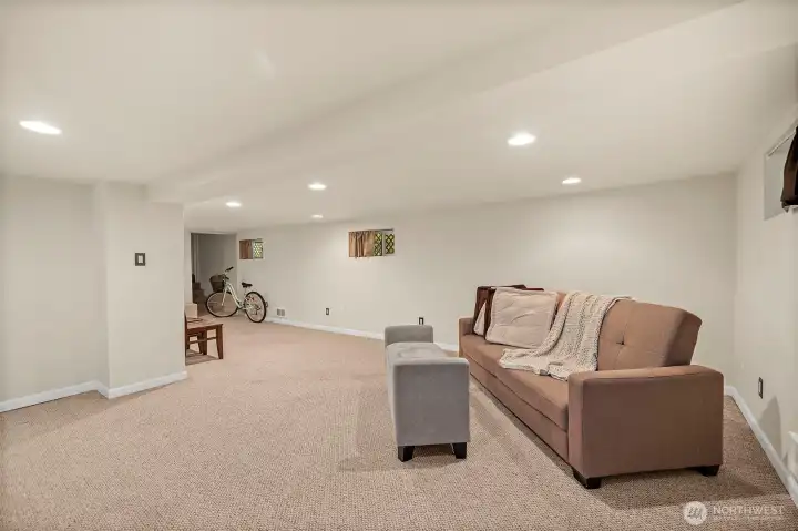 Basement Family Space