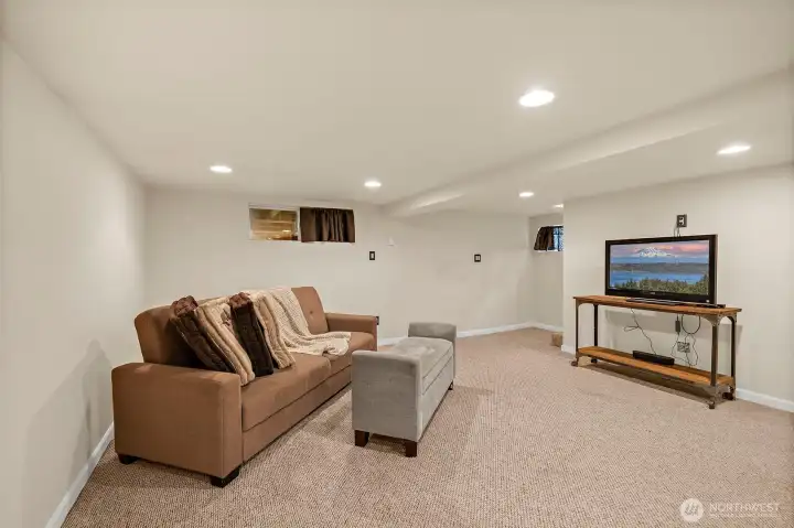 Basement Family Space