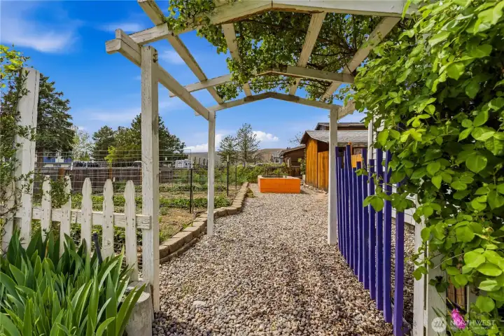 tons of gardening potential