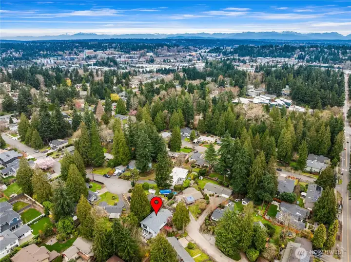 Close to D/T Kirkland, 405, beaches, upscale shopping, dining and more