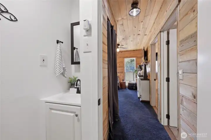 Capturing the sink, vanity & medicine cabinet-