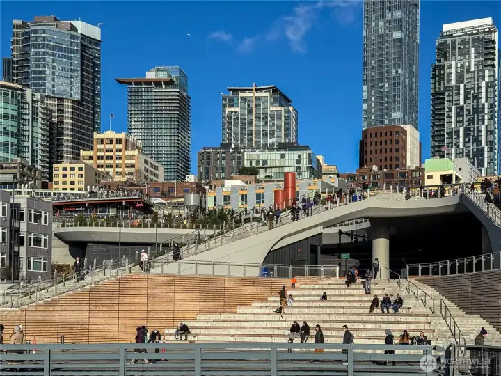The Seattle Aquarium anchors the evolving waterfront, within an easy walk of the Watermark.