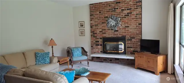 Living room with gas fireplace insert