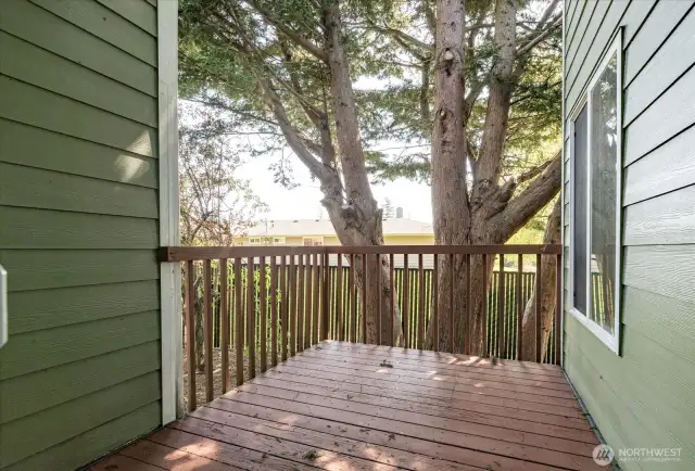 Back deck