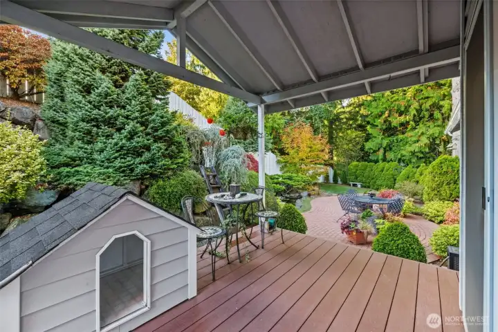 Covered back deck with wood shed or pet house.