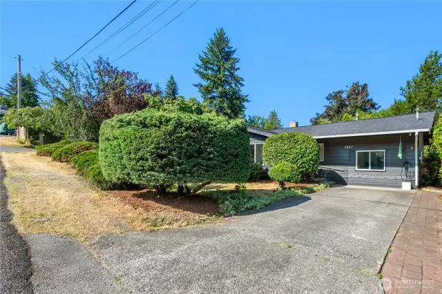 Mature landscaping
