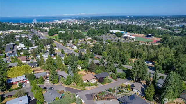 Near Fred Meyer, Civic Field, Galbraith and the Lake