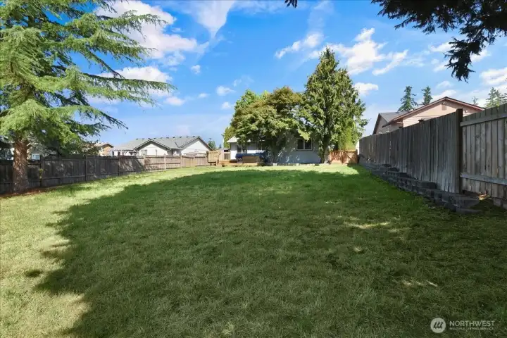 Another view of the back yard.