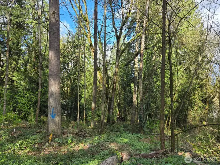 Southwest corner of the lot at the end of 53rd Ave South.