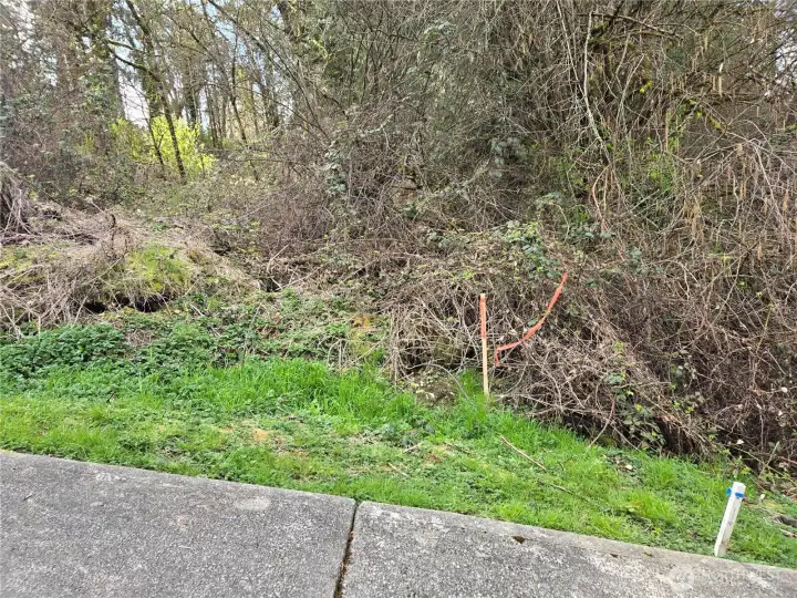 Southeast corner, this is the best location for a driveway to go into the home site.
